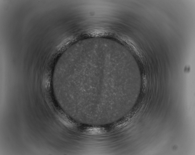 X0000099560499200806061543