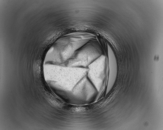 X0000099560501200806061543