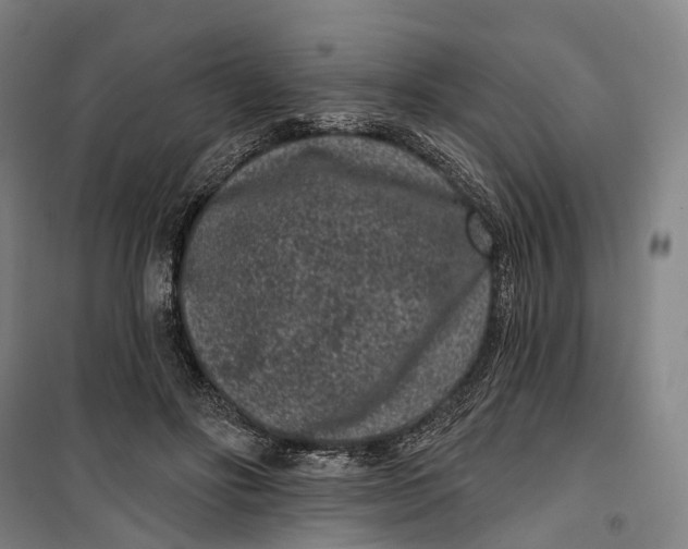 X0000099560502200806061543