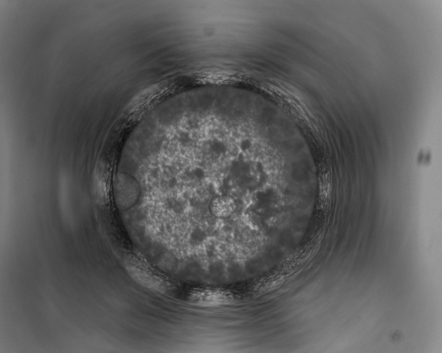 X0000099560503200806061543