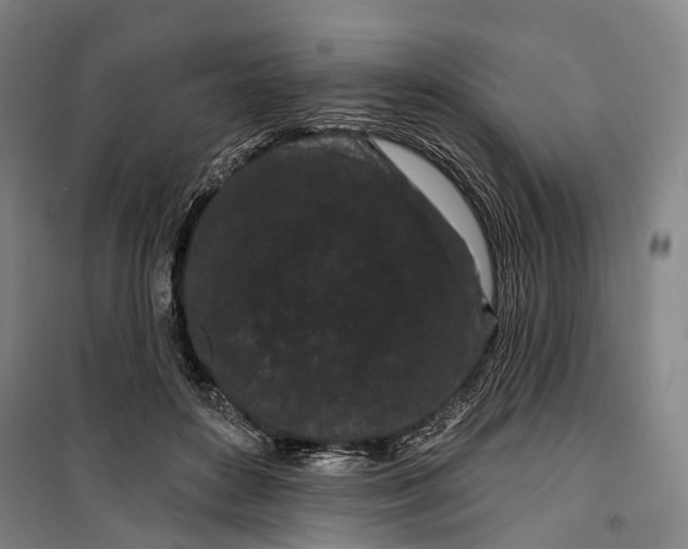 X0000099560504200806061543