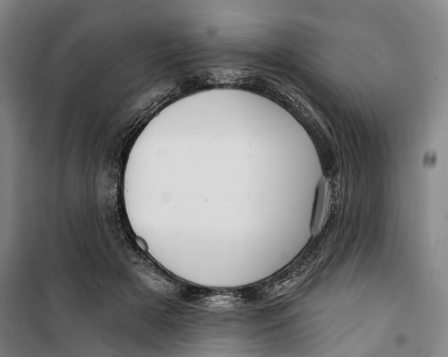 X0000099560505200806061543