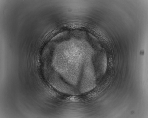 X0000099560506200806061543