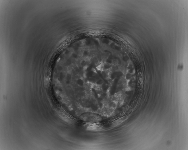 X0000099560507200806061543