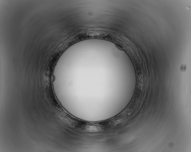 X0000099560510200806061543