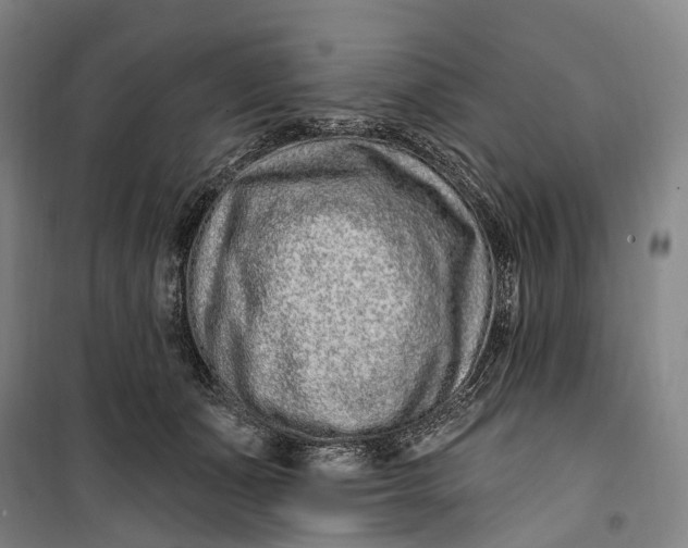 X0000099560511200806061543