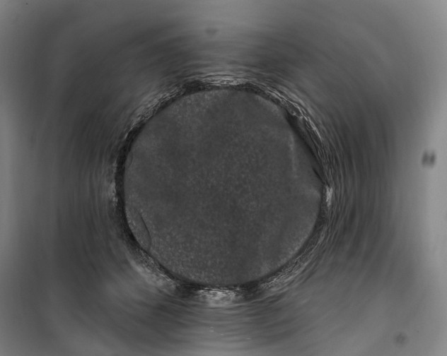 X0000099560512200806061543