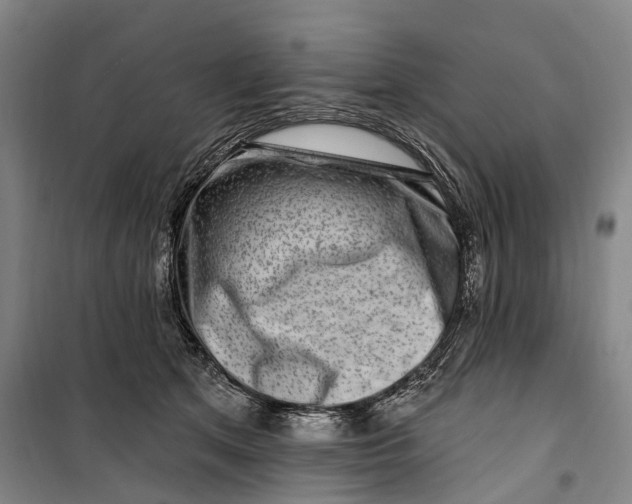 X0000099560513200806061543