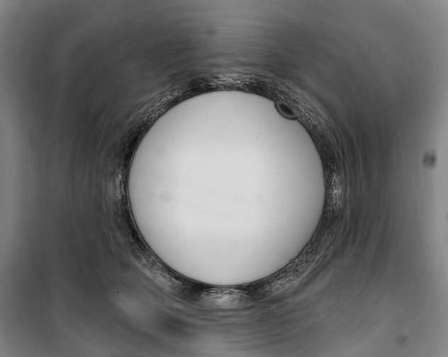 X0000099560514200806061543