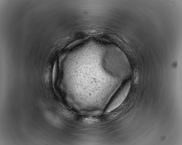 X0000099560515200806061543