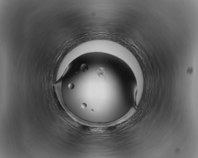 X0000099560516200806061543