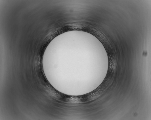 X0000099560518200806061543