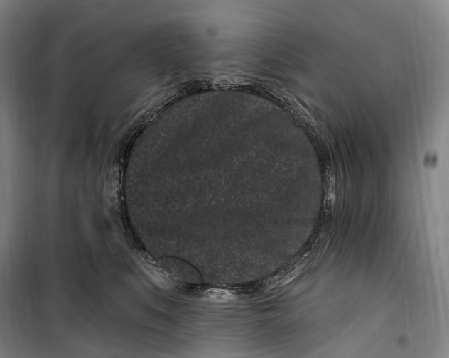 X0000099560519200806061542