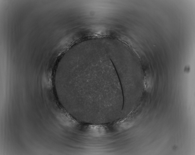 X0000099560520200806061542