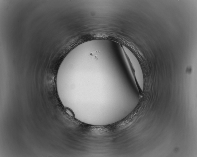 X0000099560521200806061542