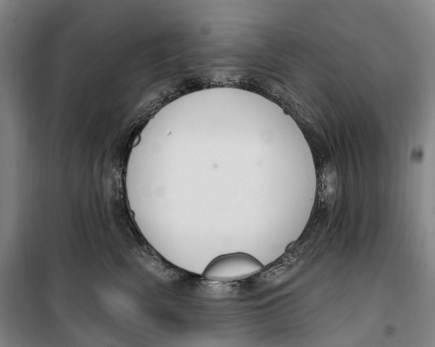 X0000099560522200806061542