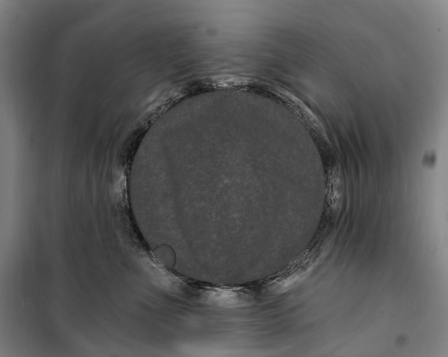 X0000099560523200806061542