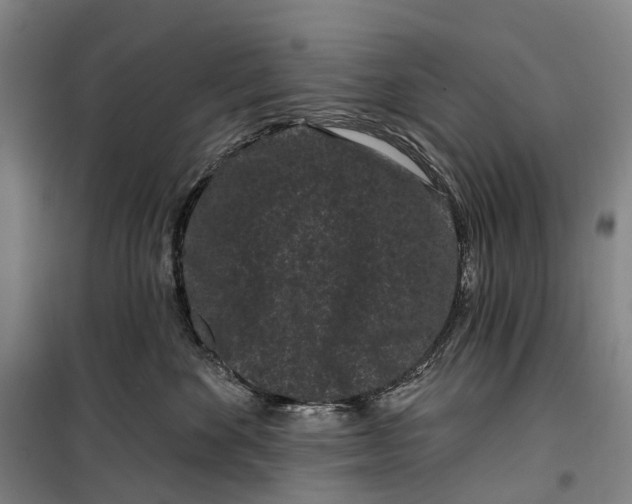 X0000099560524200806061542