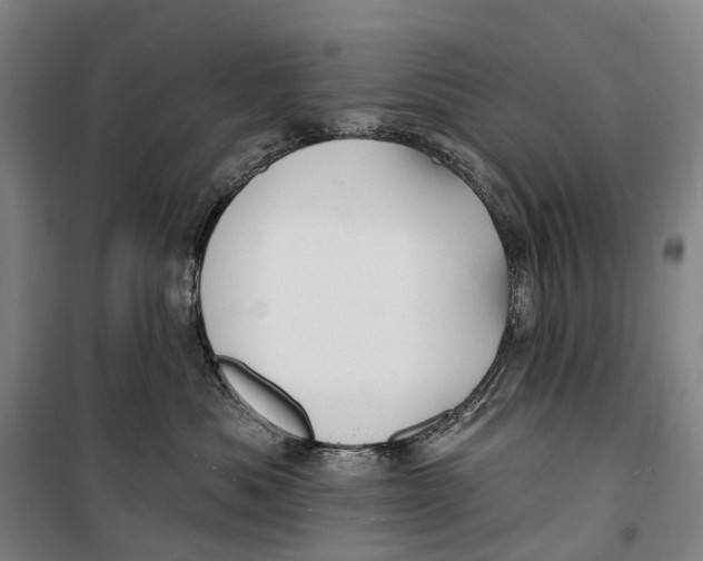 X0000099560525200806061542