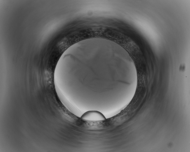 X0000099560526200806061542