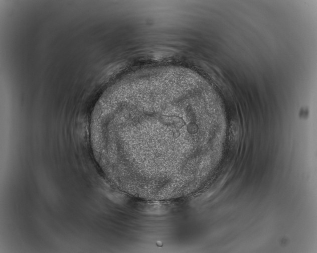 X0000099560527200806061542