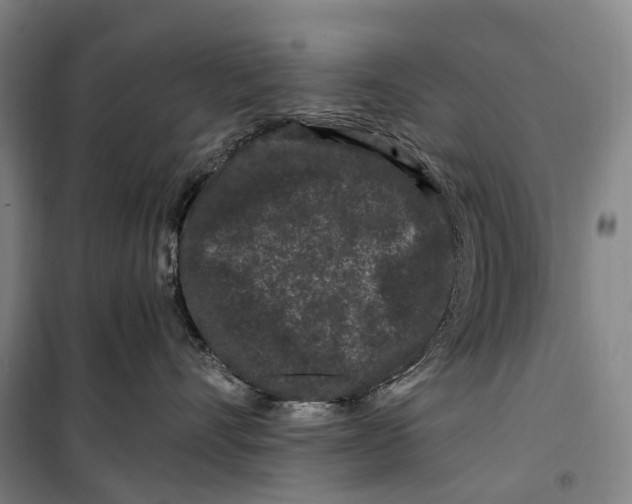 X0000099560528200806061542