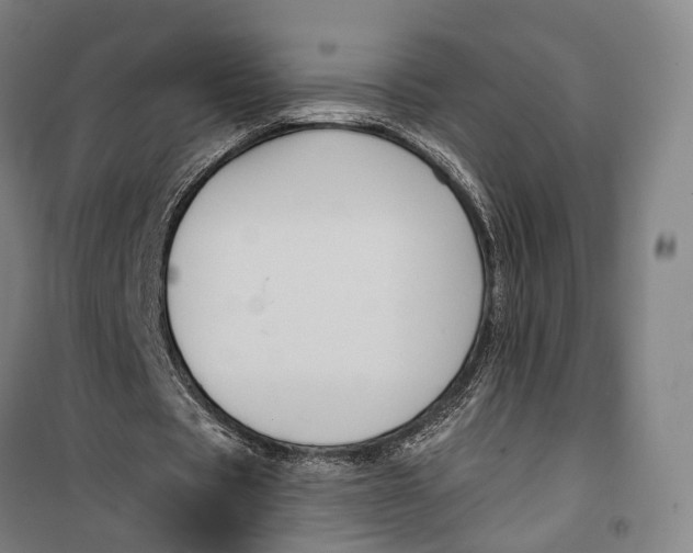 X0000099560529200806061542