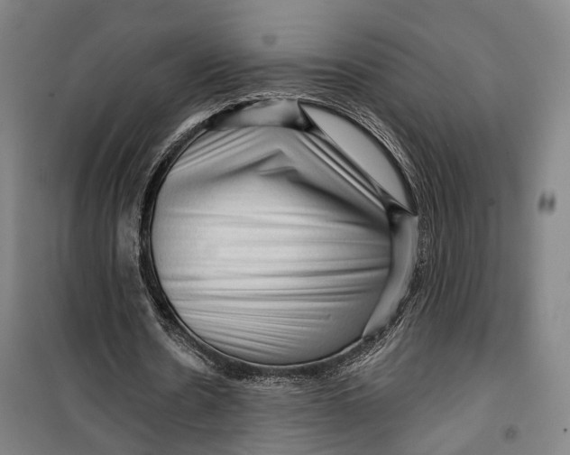 X0000099560530200806061542