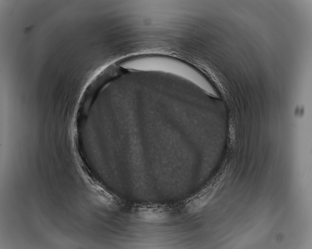 X0000099560532200806061542