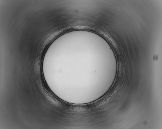 X0000099560533200806061542