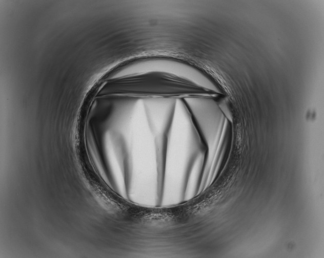 X0000099560536200806061542