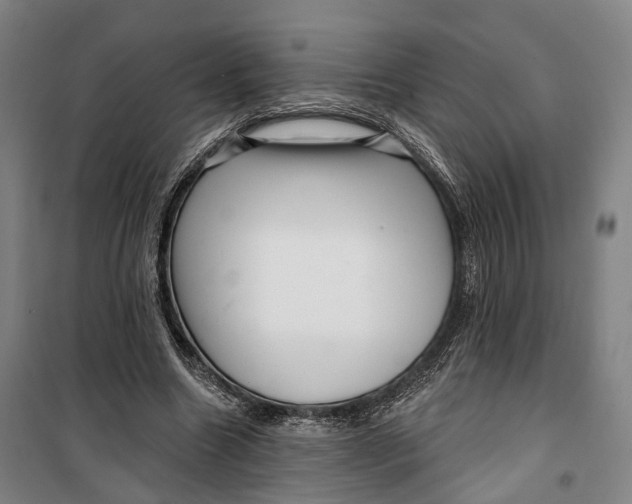 X0000099560538200806061542