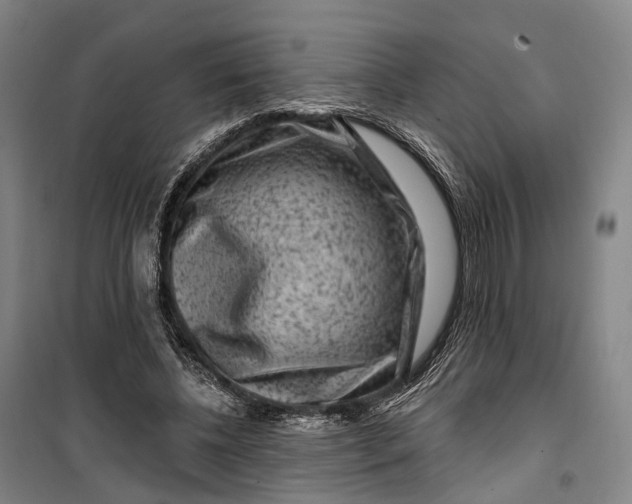 X0000099560540200806061542