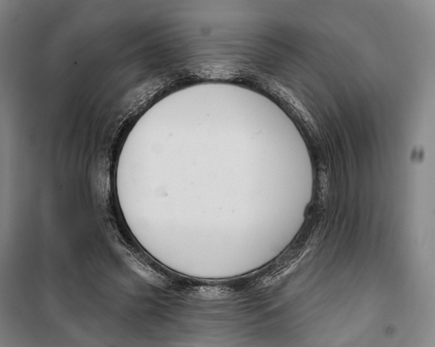 X0000099560541200806061542