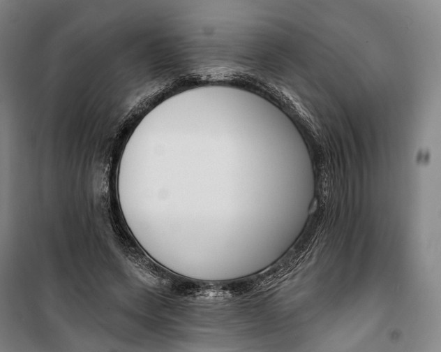 X0000099560543200806061542