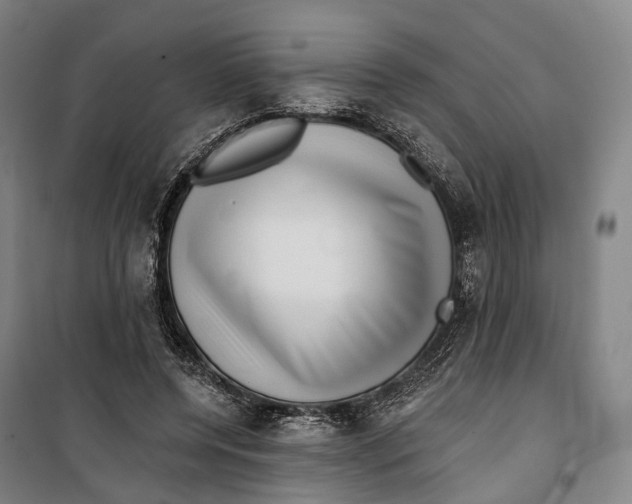 X0000099560544200806061542