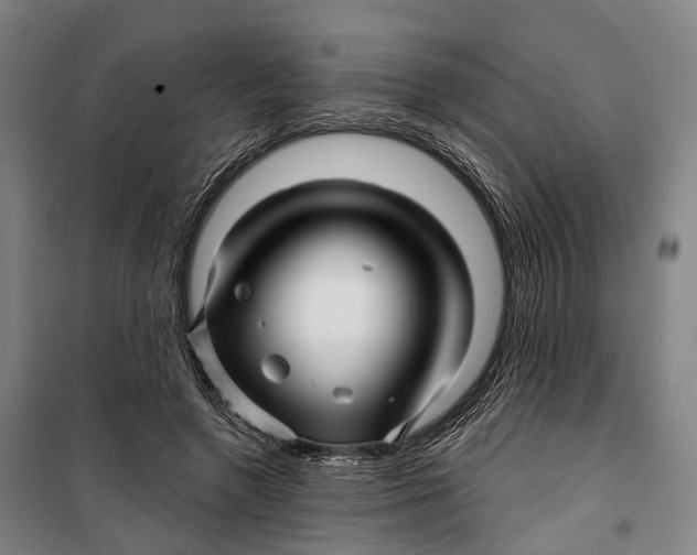 X0000099560546200806061542