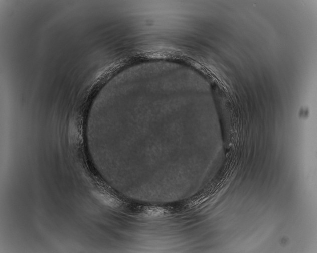 X0000099560547200806061542