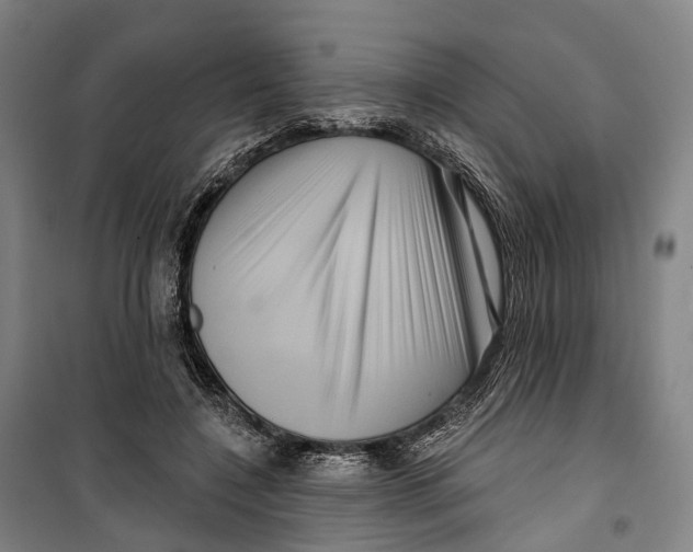 X0000099560548200806061542