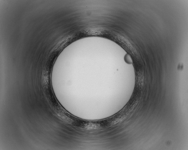 X0000099560549200806061542