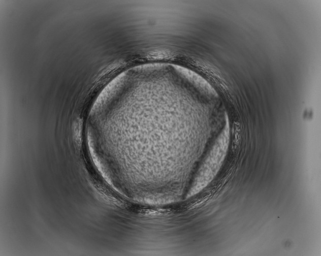 X0000099560550200806061542