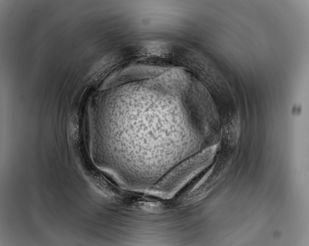 X0000099560552200806061542