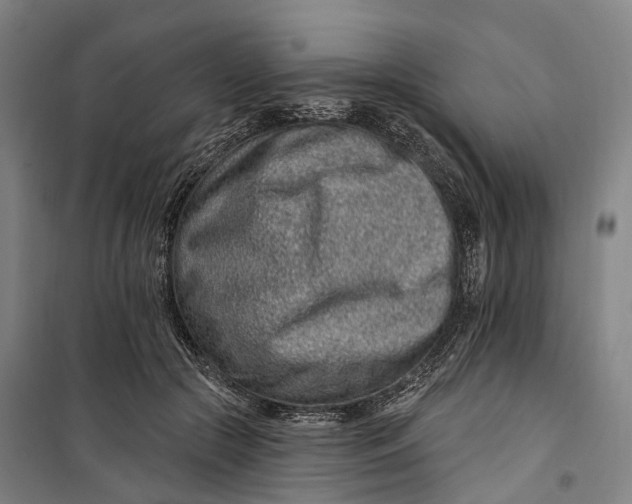 X0000099560553200806061542