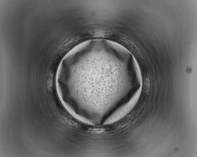 X0000099560554200806061542