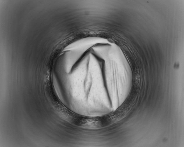 X0000099560555200806061542