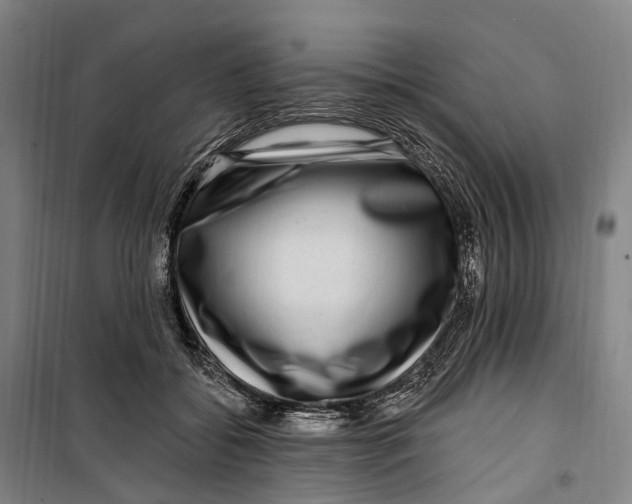 X0000099560556200806061542