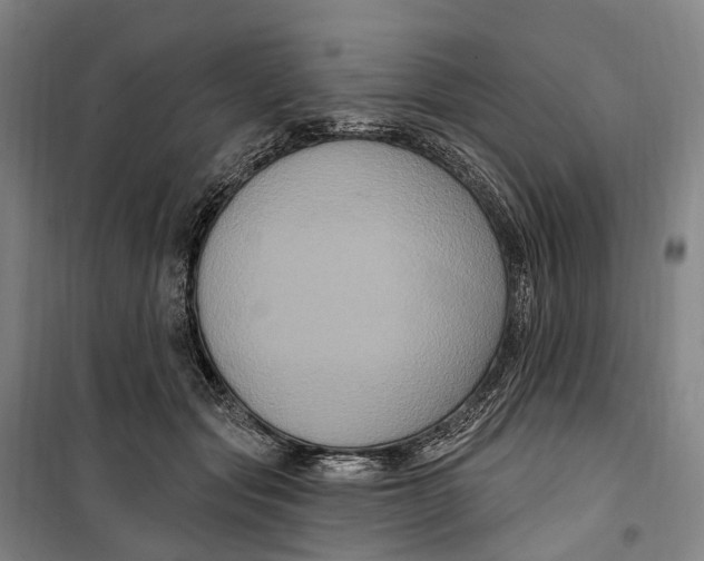 X0000099560557200806061542