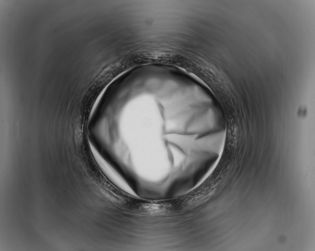 X0000099560558200806061542