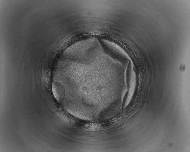 X0000099560559200806061542