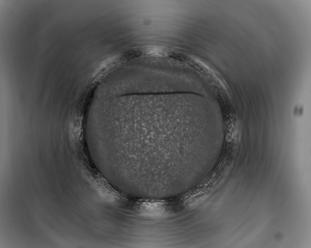 X0000099560560200806061542